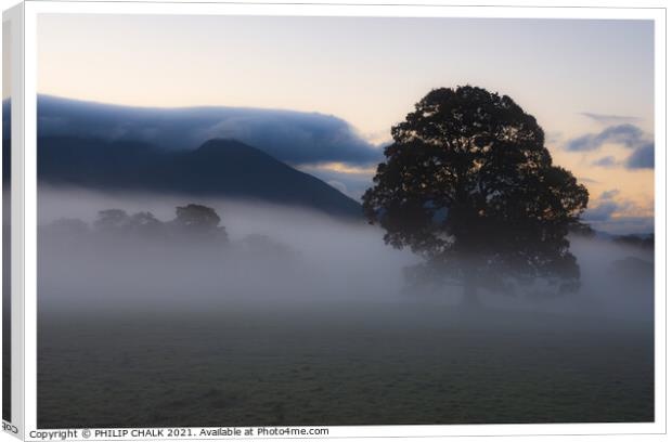 Misty meadow in the lake district (Cumbria) Canvas Print by PHILIP CHALK