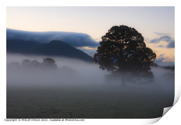 Misty meadow in the lake district (Cumbria) Print by PHILIP CHALK