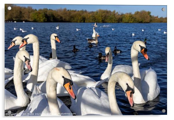 Swan Lake Acrylic by Jim Monk