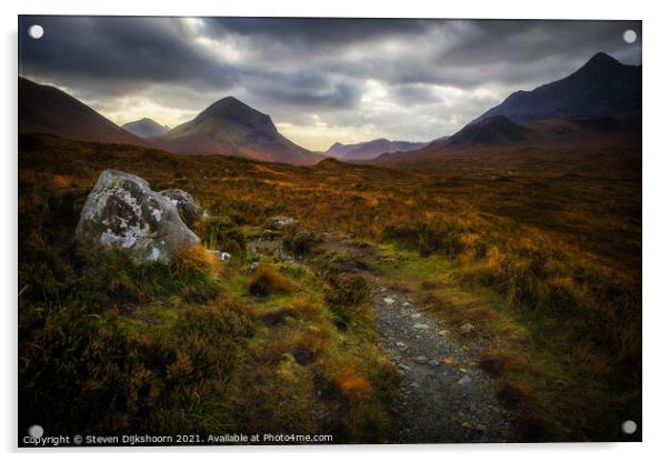 Scotland Isle of Skye Acrylic by Steven Dijkshoorn