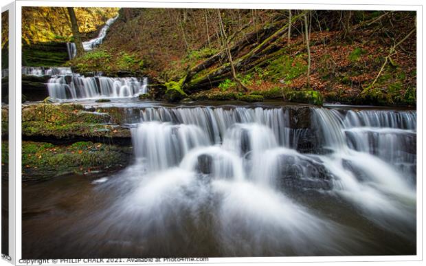 Scalerber force waterfalls  in the Yorkshire dales 279 Canvas Print by PHILIP CHALK