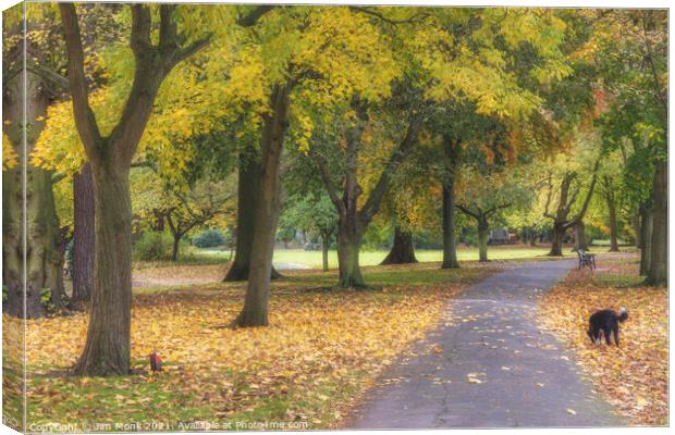 Abbey Park Autumn Canvas Print by Jim Monk
