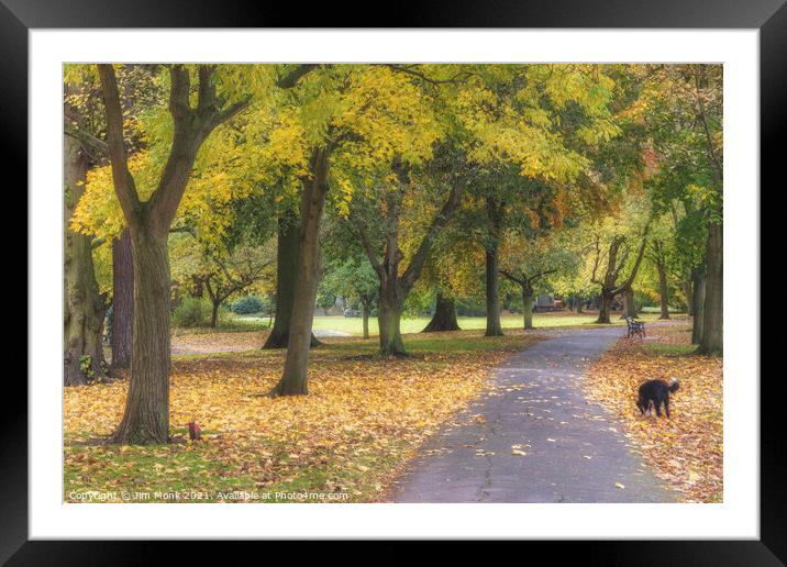 Abbey Park Autumn Framed Mounted Print by Jim Monk
