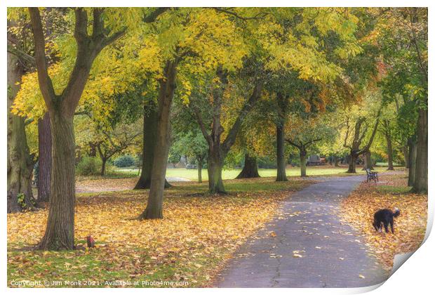Abbey Park Autumn Print by Jim Monk