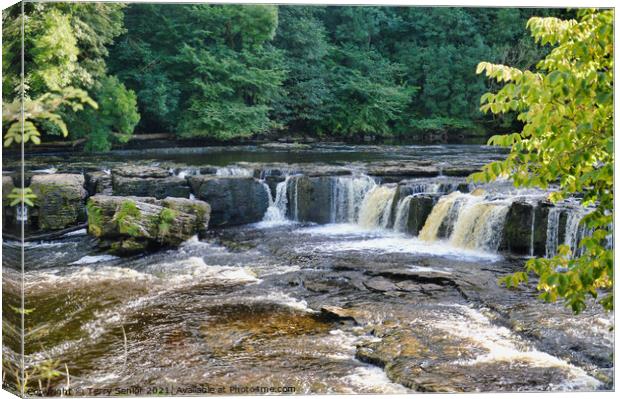 Upper Aysgarth Falls in Summer on the River Ure at Canvas Print by Terry Senior