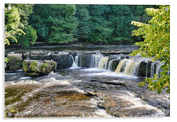 Upper Aysgarth Falls in Summer on the River Ure at Acrylic by Terry Senior