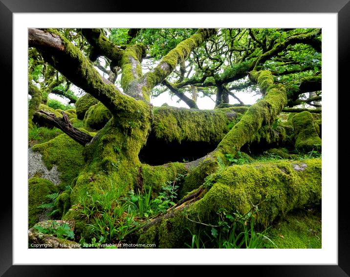 Wistman's Wood Framed Mounted Print by Nik Taylor