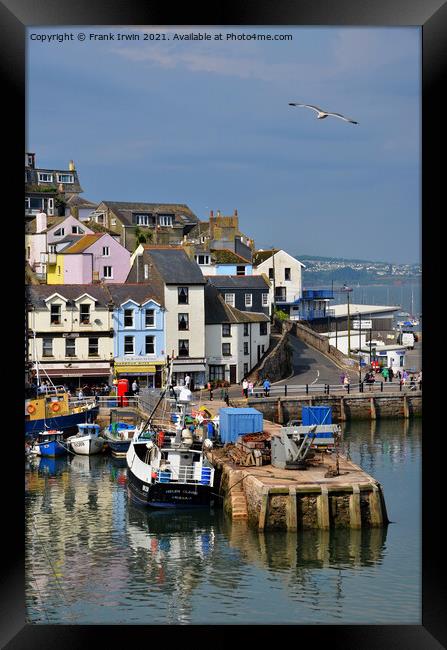 Brixham's busy little harbour Framed Print by Frank Irwin