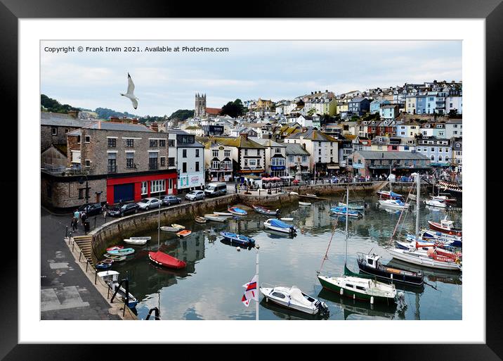 Brixham's busy harbour (Town end) Framed Mounted Print by Frank Irwin