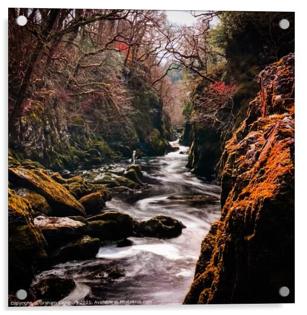Fairy Glen, Conwy River Acrylic by Graham Lathbury