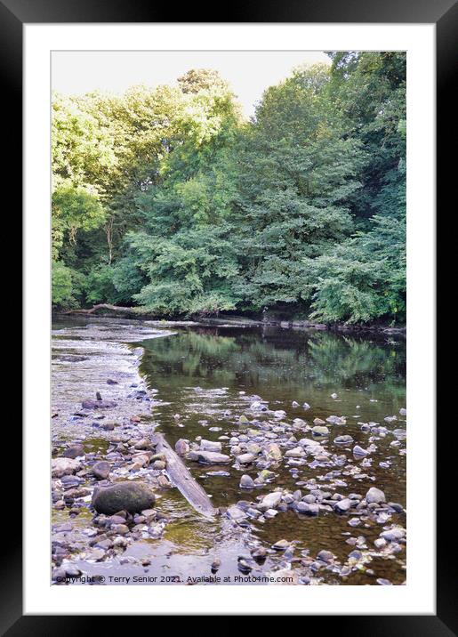 Calm still waters at Aysgarth Falls on the River Ure in Wensleydale, England, Framed Mounted Print by Terry Senior