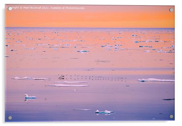 Mauve Summer Sunset Seascape Norway Acrylic by Pearl Bucknall