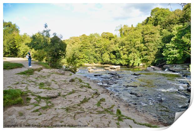 Upper Aysgarth Falls in Summer on the River Ure at Print by Terry Senior