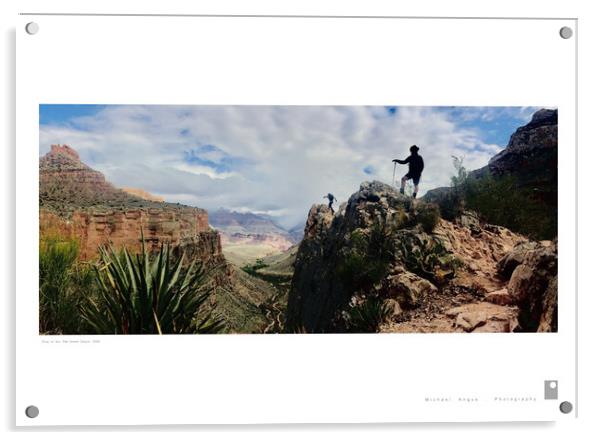 Stay or Go: Grand Canyon (USA) Acrylic by Michael Angus