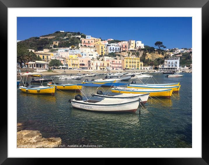 Vibrant Ponza Harbour Framed Mounted Print by Janet Carmichael