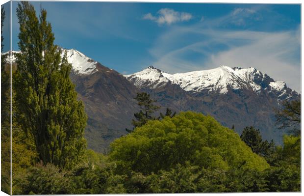 Mountains, New Zealand Canvas Print by Mark Llewellyn