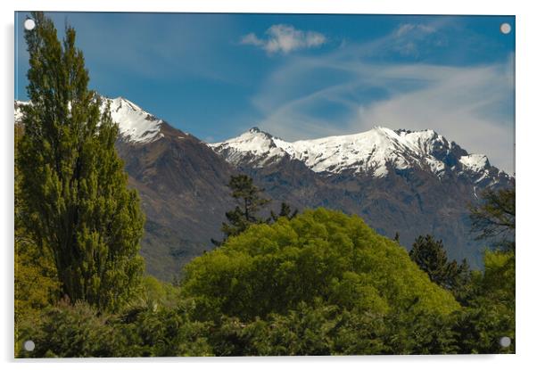 Mountains, New Zealand Acrylic by Mark Llewellyn