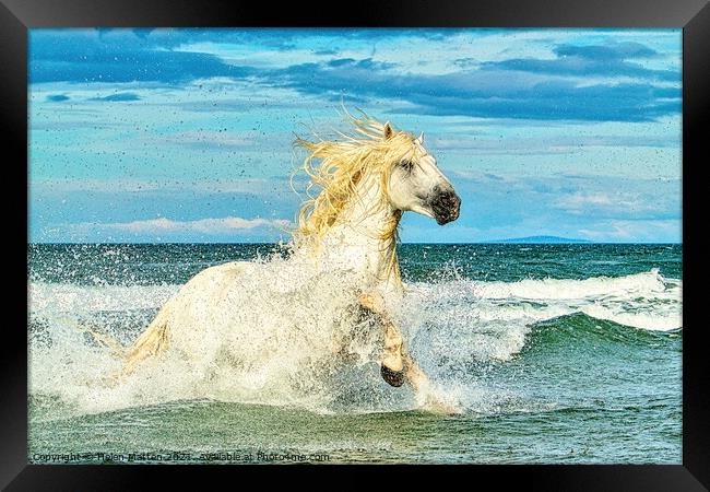 White Camargue Stallion in the Sea 1 Framed Print by Helkoryo Photography