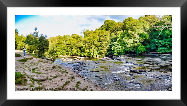 Panoramic view from the Upper Falls at Aysgarth Falls Framed Mounted Print by Terry Senior