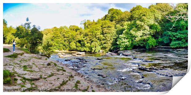 Panoramic view from the Upper Falls at Aysgarth Falls Print by Terry Senior