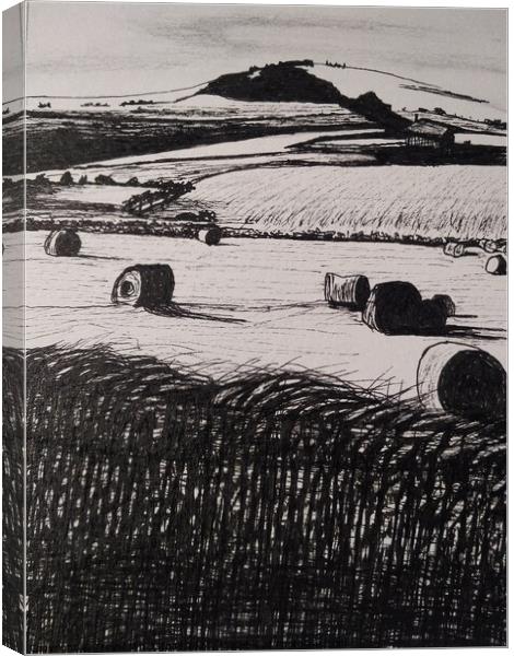 Fields of Barley Canvas Print by Trevor Whetstone
