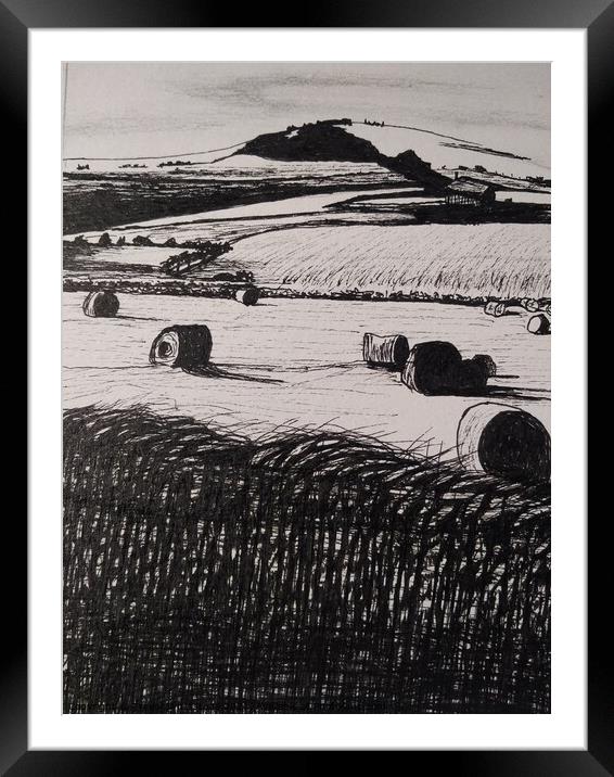 Fields of Barley Framed Mounted Print by Trevor Whetstone