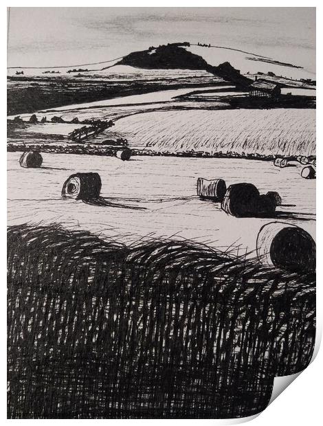 Fields of Barley Print by Trevor Whetstone