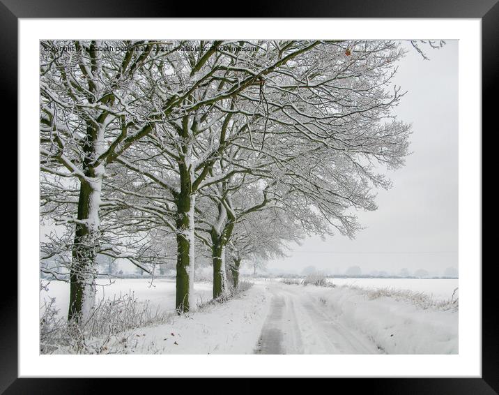 Winter Oak Trees in the Snow Framed Mounted Print by Elizabeth Debenham