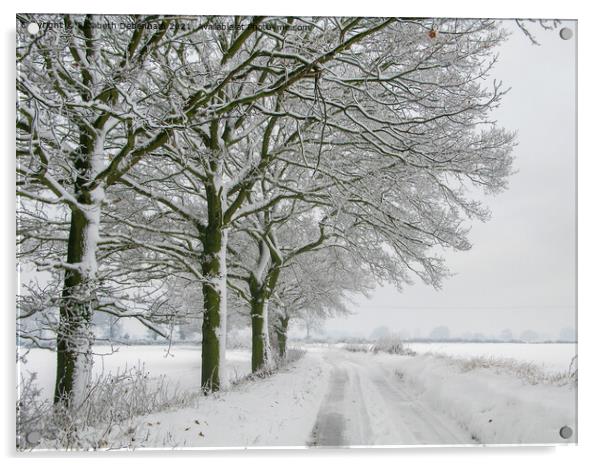 Winter Oak Trees in the Snow Acrylic by Elizabeth Debenham
