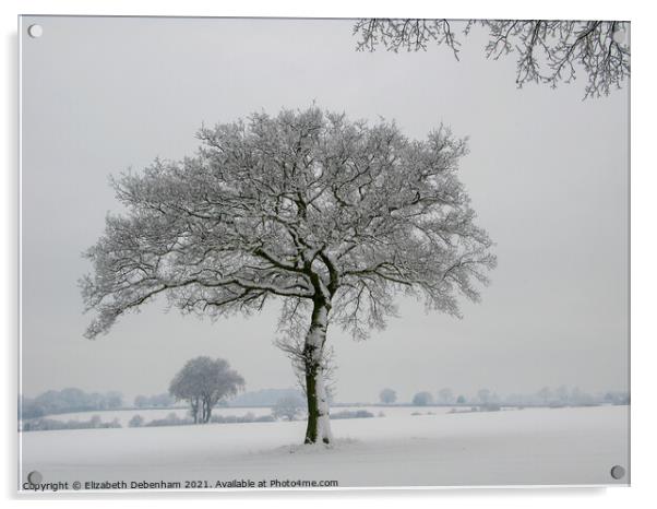 Lone Oak tree in Snow 2 Acrylic by Elizabeth Debenham