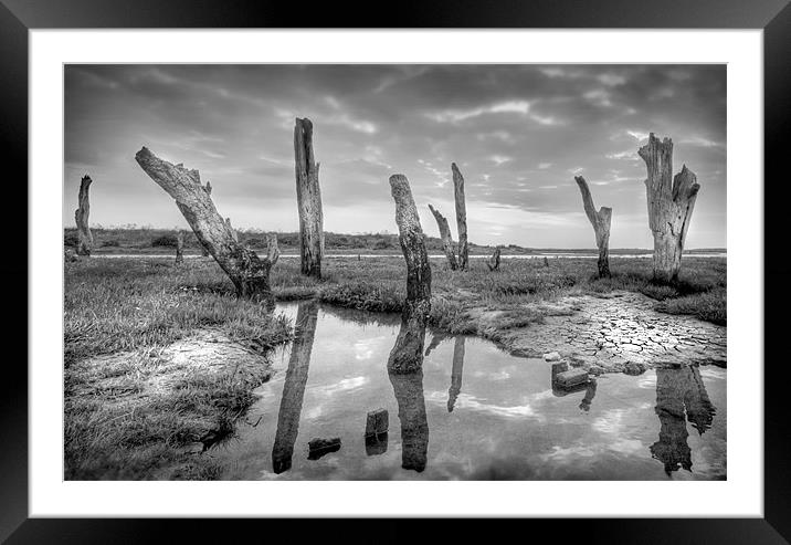The Drowned Trees Of Thornham Framed Mounted Print by Mike Sherman Photog