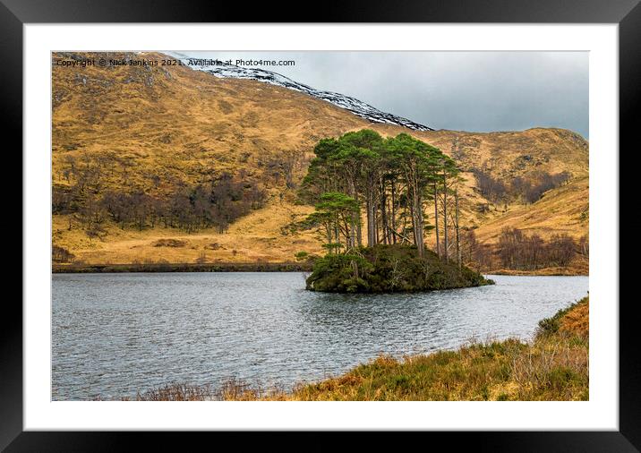 Pines Island Loch Eilt North West Scotland Framed Mounted Print by Nick Jenkins