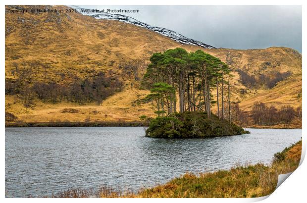 Pines Island Loch Eilt North West Scotland Print by Nick Jenkins
