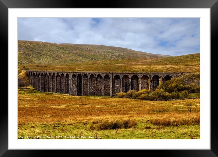 Ribblehead Viaduct Yorkshire Dales Framed Mounted Print by Diana Mower
