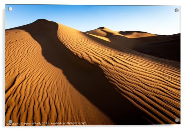 Desert Sunrise #2 Acrylic by Peter O'Reilly