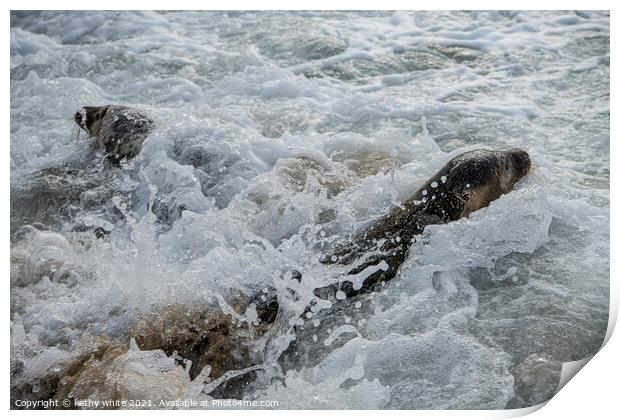 Seal wild at Porthtowan beach, Cornwall  sealpups, Print by kathy white