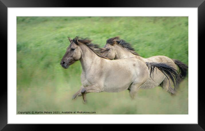 Majestic Equine Playtime Framed Mounted Print by Martin Yiannoullou