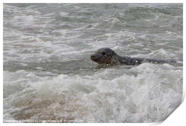 Cornish seal swiming  free,Cornish seals Print by kathy white