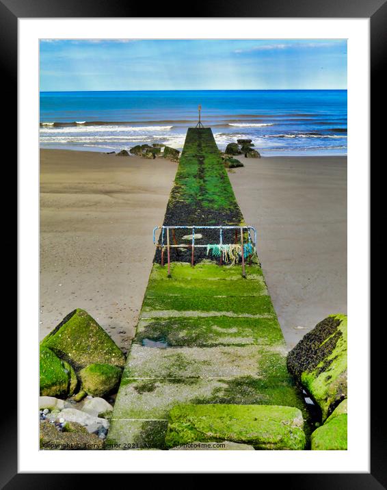 The Pier Barmston North East Coast beach Framed Mounted Print by Terry Senior