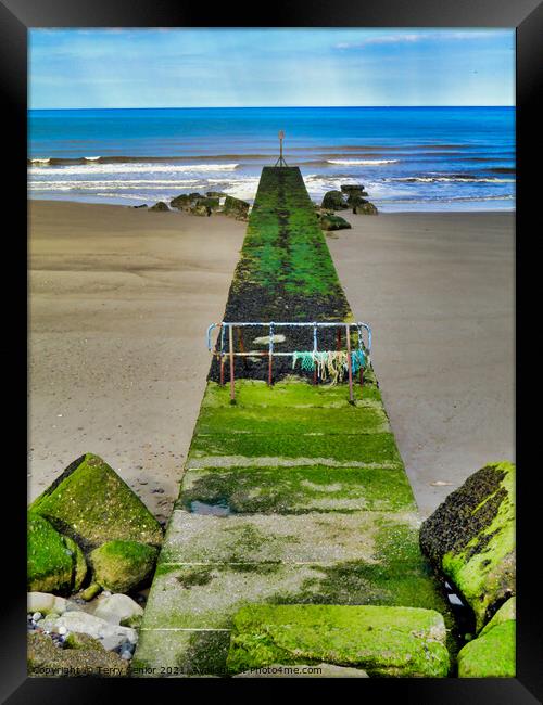 The Pier Barmston North East Coast beach Framed Print by Terry Senior