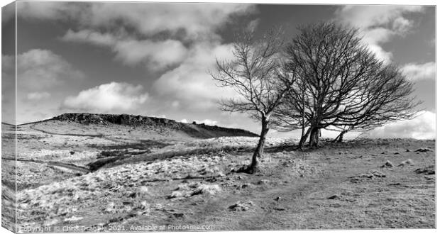Higger Tor from Hathersage Moor Canvas Print by Chris Drabble