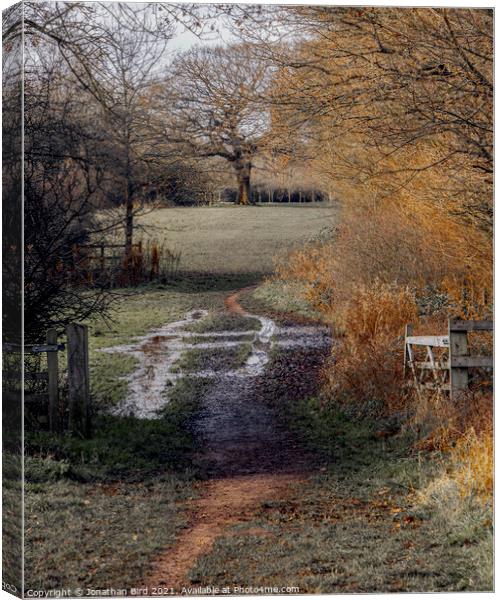 A well Worn Path, Hutton Country Park  Canvas Print by Jonathan Bird