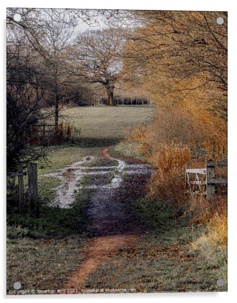 A well Worn Path, Hutton Country Park  Acrylic by Jonathan Bird