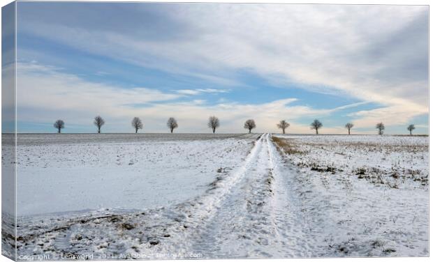 Tranquil winter landscape with trees at the horizon Canvas Print by Lensw0rld 