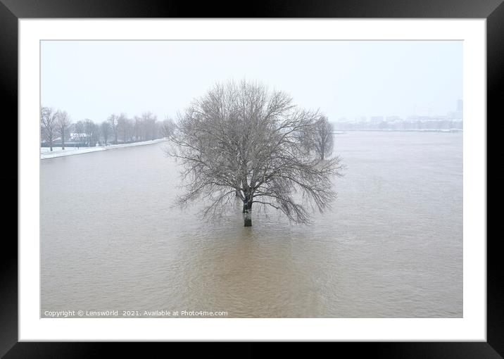 Lone tree during the flooding of the river Rhine i Framed Mounted Print by Lensw0rld 