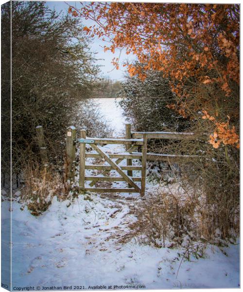 A Gap in the Hedge, Hutton Country Park Canvas Print by Jonathan Bird