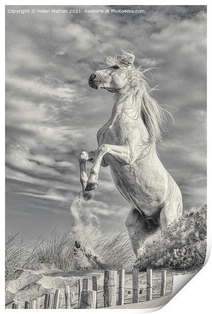 White Stallion Rearing Light Version Print by Helkoryo Photography