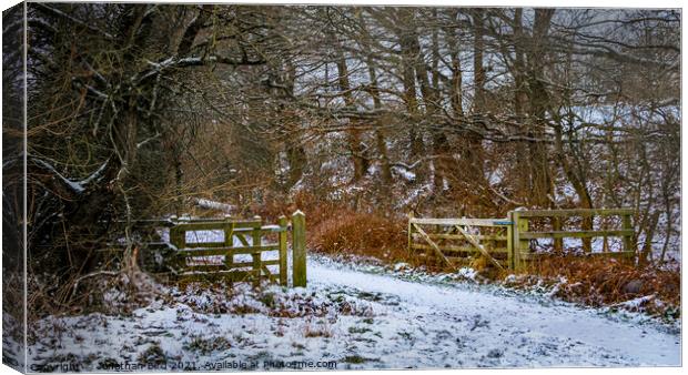 Winter in Hutton Country Park  Canvas Print by Jonathan Bird