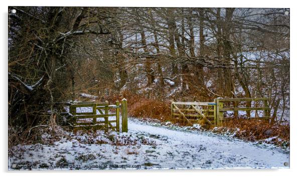 Winter in Hutton Country Park  Acrylic by Jonathan Bird