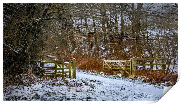 Winter in Hutton Country Park  Print by Jonathan Bird
